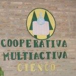 Das Logo unserer Kooperative